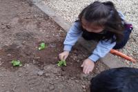 Unidades escolares de Itaja realizam aes alusivas ao dia Mundial do Meio Ambiente