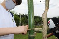 Alunos da Escola de Campo Maria do Carmo Vieira participam de plantio de mudas de rvores