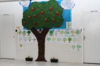 Pau-Brasil  plantado em escola de Itaja