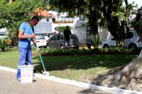 Combate  dengue ter ao no Cemitrio da Fazenda na segunda-feira