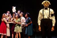Festival Brasileiro de Teatro trar nove espetculos nacionais para Itaja