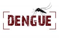 Itaja soma 221 focos do mosquito Aedes aegypti