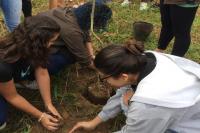 Escola Bsica Nereu Ramos recebe plantio de rvores