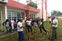 Escola Bsica Nereu Ramos recebe plantio de rvores