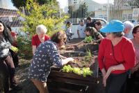 Centro de Arte e Lazer da Vila Operria cria horta suspensa para idosos