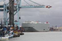 Porto de Itaja ultrapassa marca de 30 mil veculos importados