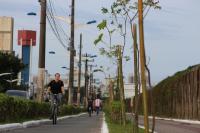 Mais de 400 mudas de rvores so plantadas na avenida Contorno Sul
