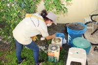 Nmero de casos positivos de dengue aumenta em Itaja