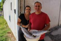 Coronavrus: Municpio de Itaja faz doaes de tainhas para famlias de baixa renda
