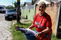 Coronavrus: Municpio de Itaja faz doaes de tainhas para famlias de baixa renda