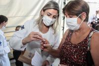 Itaja recebe mais 100 mil doses de medicamento homeoptico para distribuio