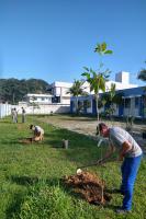 Instituto Itaja Sustentvel realiza plantio de mudas nativas em espaos pblicos do municpio
