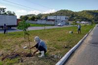 INIS realiza plantio de mudas nativas em avenida do bairro Santa Regina