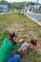 INIS realiza plantio de mudas nativas em avenida do bairro Santa Regina