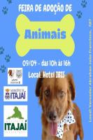 UAPA promove feira de adoo de animais no sbado (09)