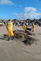 Mais de 90 toneladas de resduos j foram recolhidas das praias de Itaja em dezembro