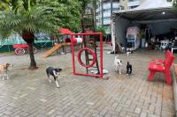 Abrigo provisrio de animais no Parco ser desativado nesta segunda-feira (16)
