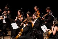 Camerata Florianpolis vai realizar concerto gratuito no Teatro Municipal
