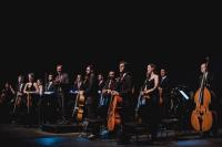 Camerata Florianpolis vai realizar concerto gratuito no Teatro Municipal